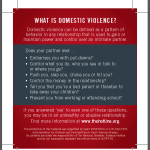 What is Domestic Violence?